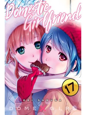 Domestic Girlfriend, Volume 17 - ebook
